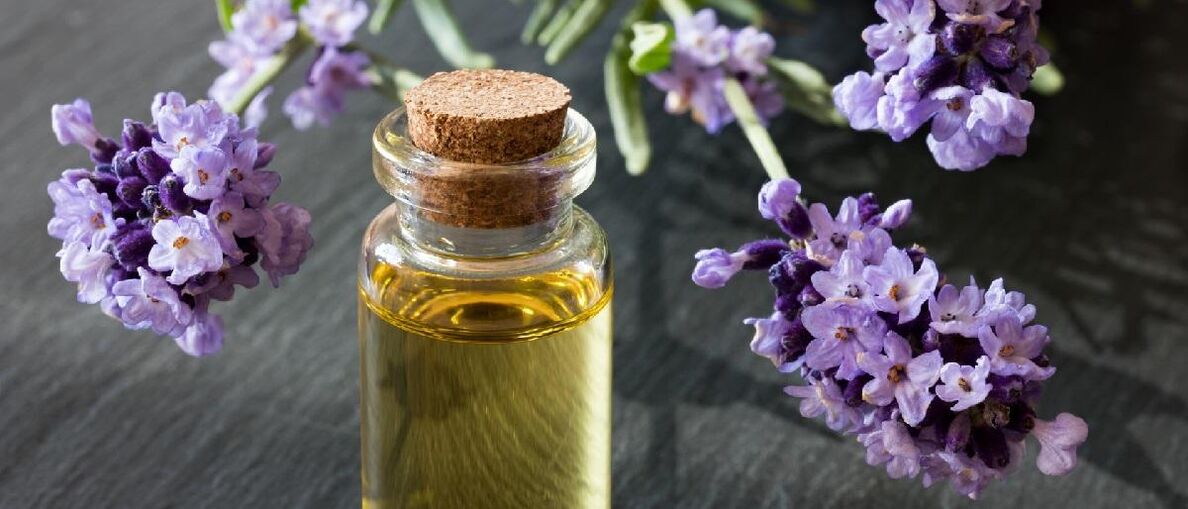 Ang lana sa lavender naghatag usa ka matahum nga kutis