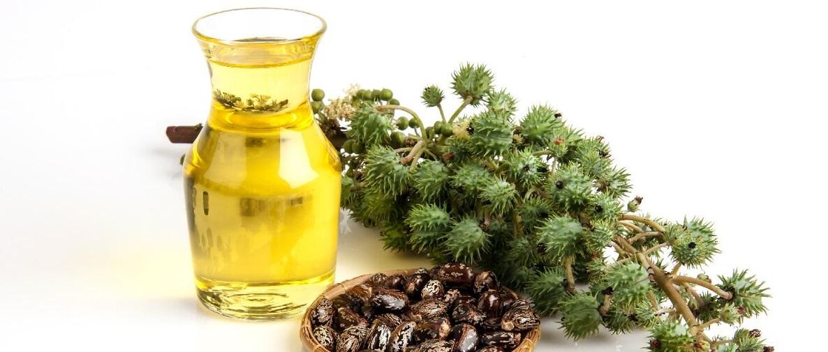 Castor oil alang sa pagkatigulang sa mga problema sa panit