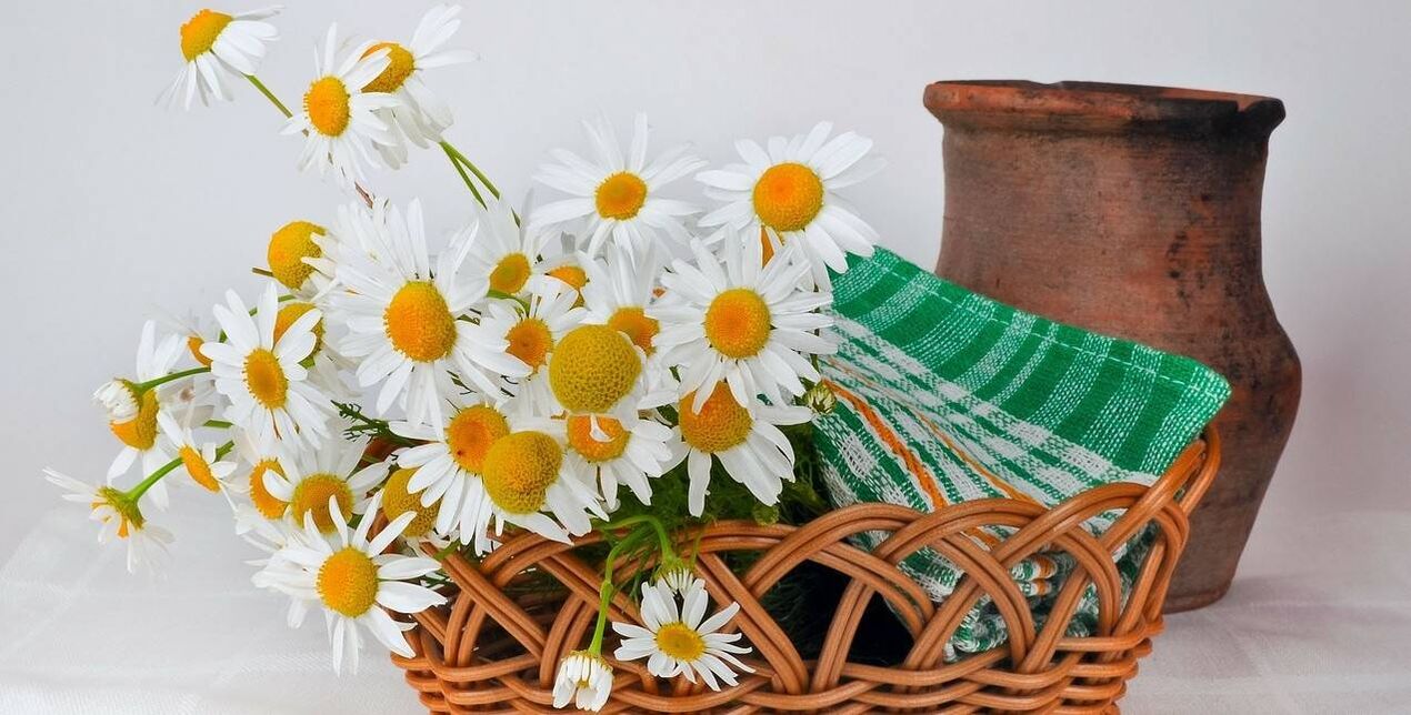 unsaon paghimo sa usa ka toner sa nawong gikan sa mga bulak sa chamomile